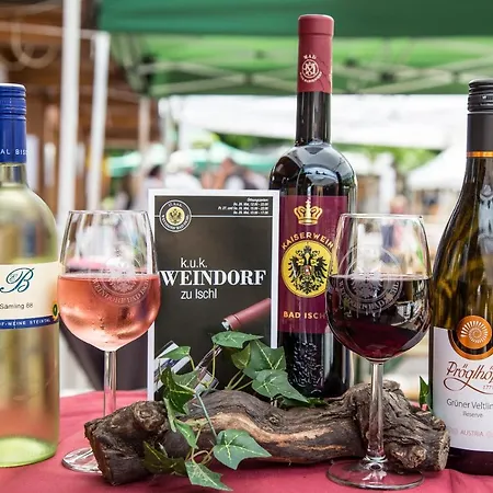 アパート Kaiser Franzl *