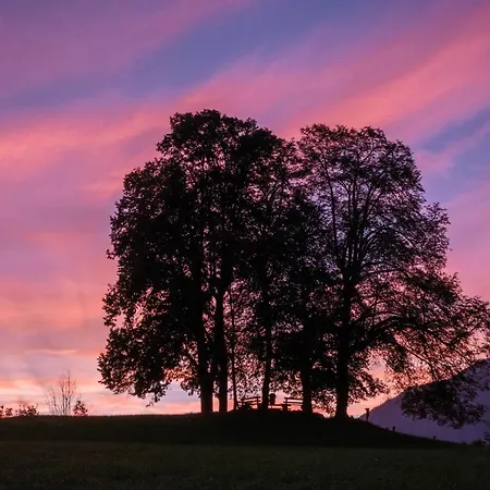 アパート Kaiser Franzl